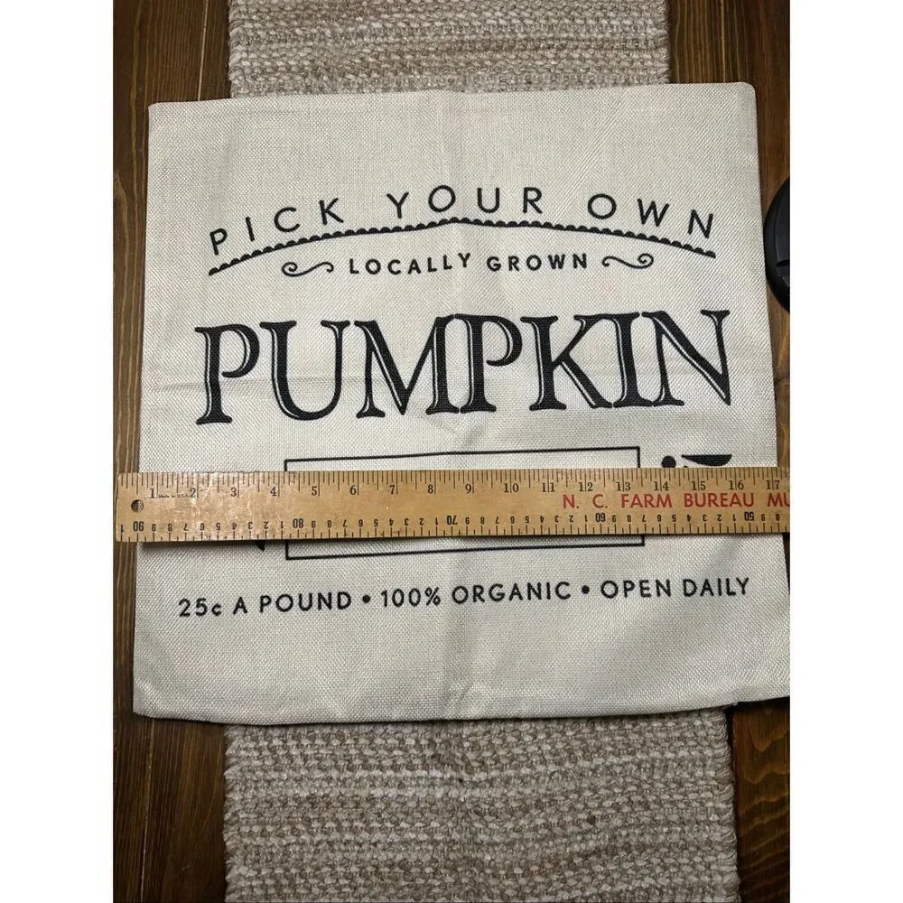 Autumn fall pumpkin throw pillow case cover 17 x 17 New